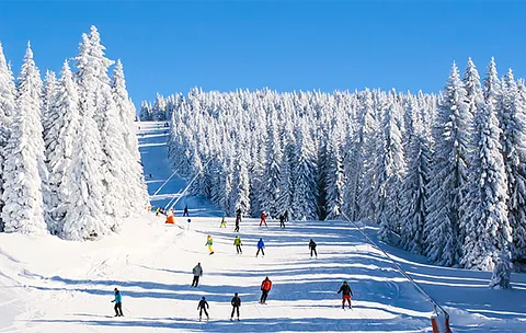 taxi Piste